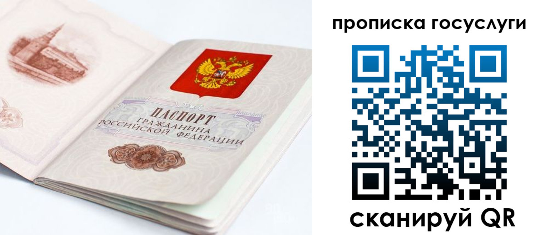 временная регистрация в Апатитах